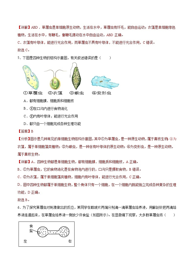 【核心素养】苏教版（2024）生物七年级上册 1.2.2 单细胞生物（教学课件+同步练习）03