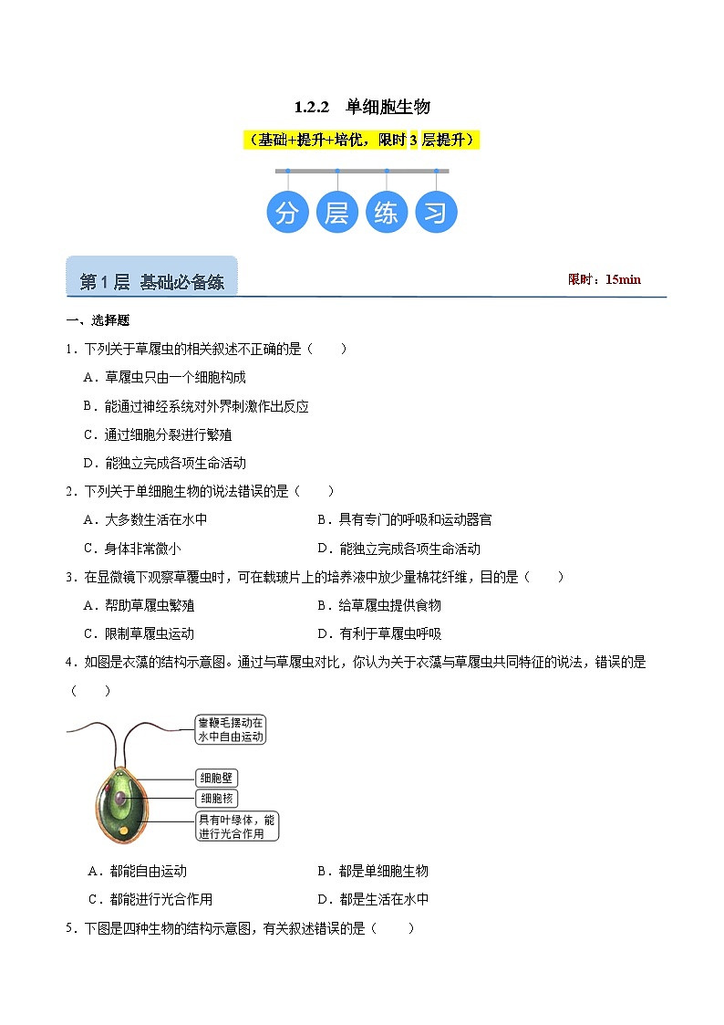 【核心素养】苏教版（2024）生物七年级上册 1.2.2 单细胞生物（教学课件+同步练习）01