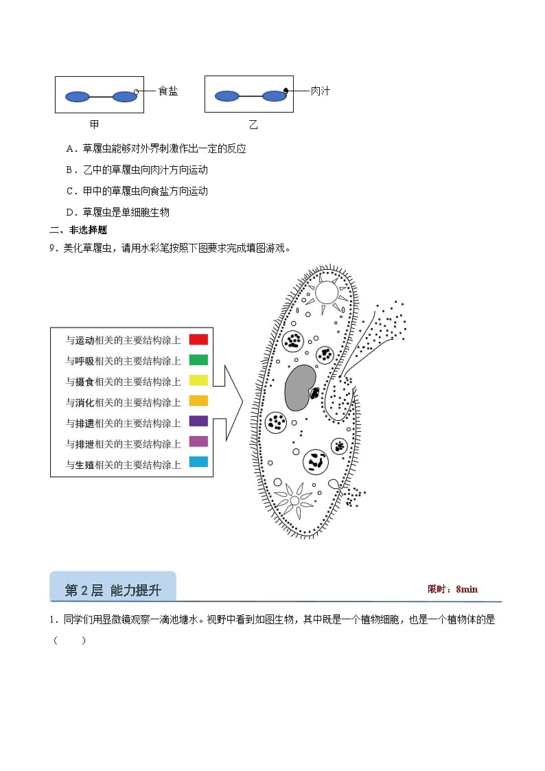 【核心素养】苏教版（2024）生物七年级上册 1.2.2 单细胞生物（教学课件+同步练习）03
