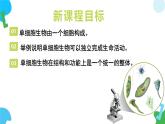 【核心素养】苏教版（2024）生物七年级上册 1.2.2 单细胞生物（教学课件+同步练习）