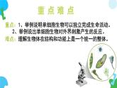 【核心素养】苏教版（2024）生物七年级上册 1.2.2 单细胞生物（教学课件+同步练习）