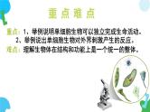 【核心素养】苏教版（2024）生物七年级上册 1.2.2 单细胞生物（教学课件+同步练习）