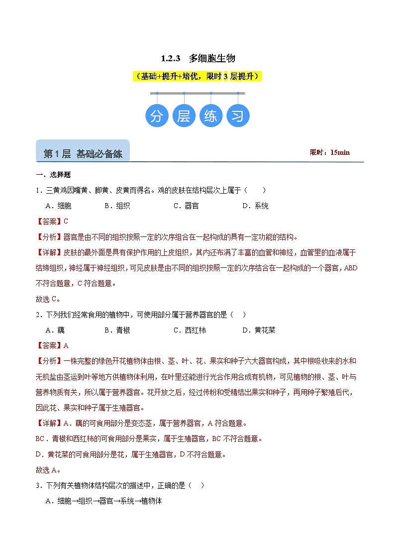 【核心素养】苏教版（2024）生物七年级上册 1.2.3 多细胞生物（教学课件+同步练习）01