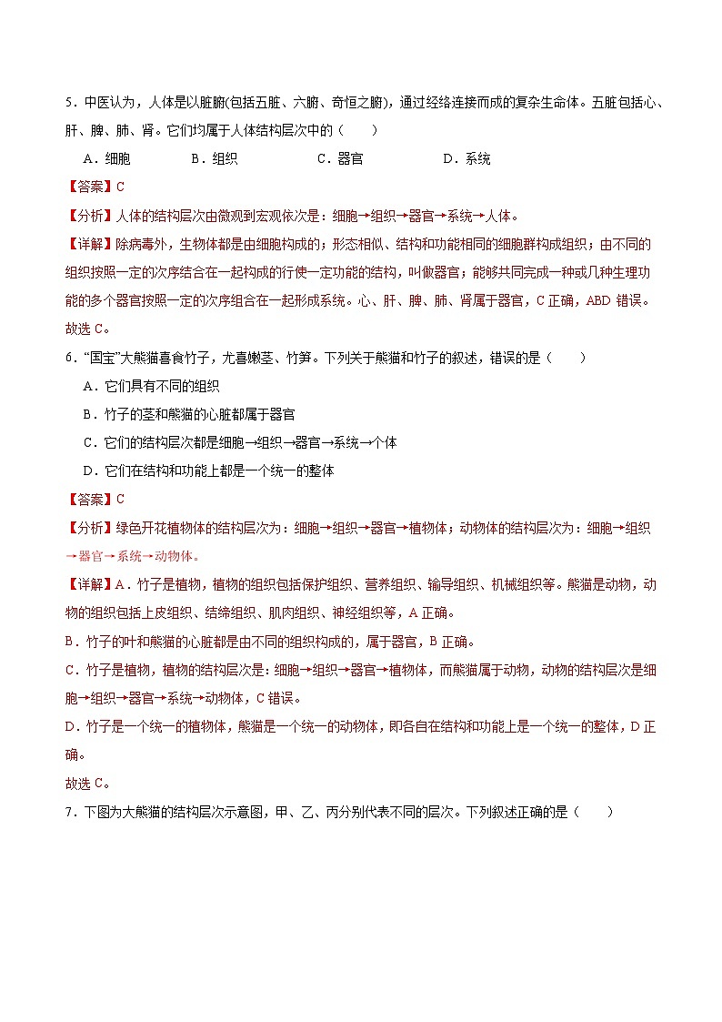 【核心素养】苏教版（2024）生物七年级上册 1.2.3 多细胞生物（教学课件+同步练习）03