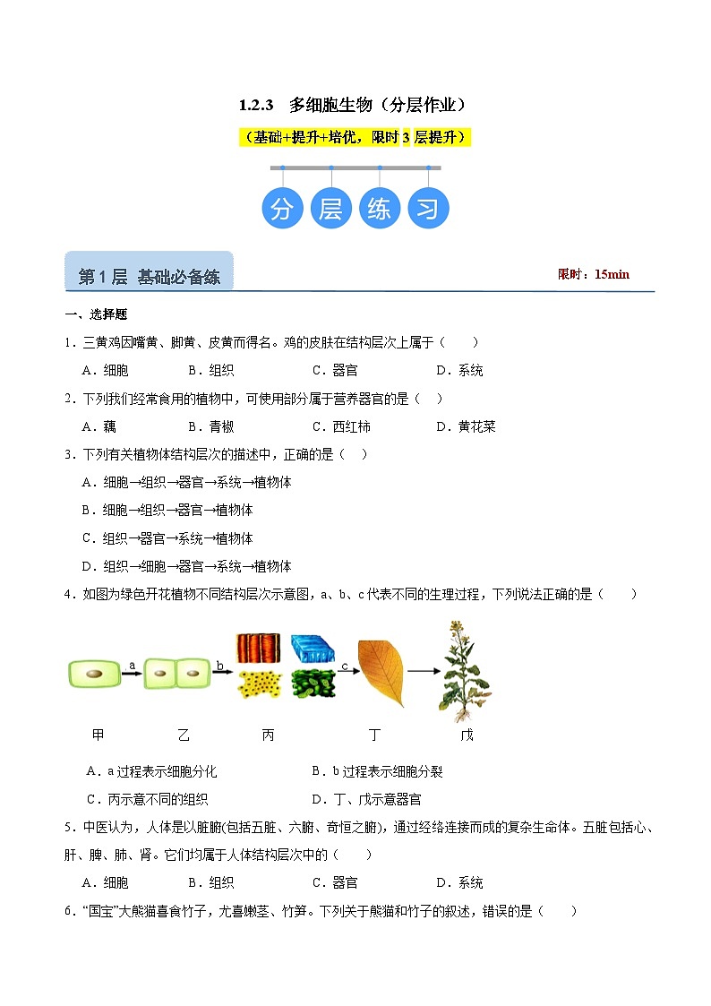 【核心素养】苏教版（2024）生物七年级上册 1.2.3 多细胞生物（教学课件+同步练习）01