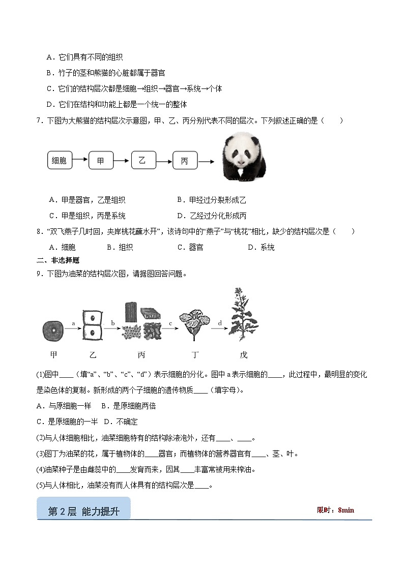 【核心素养】苏教版（2024）生物七年级上册 1.2.3 多细胞生物（教学课件+同步练习）02
