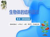 【核心素养】苏教版（2024）生物七年级上册 1.2.3 多细胞生物（教学课件+同步练习）