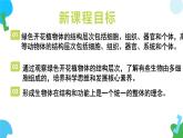 【核心素养】苏教版（2024）生物七年级上册 1.2.3 多细胞生物（教学课件+同步练习）