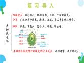 【核心素养】苏教版（2024）生物七年级上册 1.2.3 多细胞生物（教学课件+同步练习）
