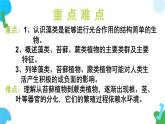 【核心素养】苏教版（2024）生物七年级上册 2.3.1 藻类和苔藓植物、蕨类植物（教学课件+同步练习）
