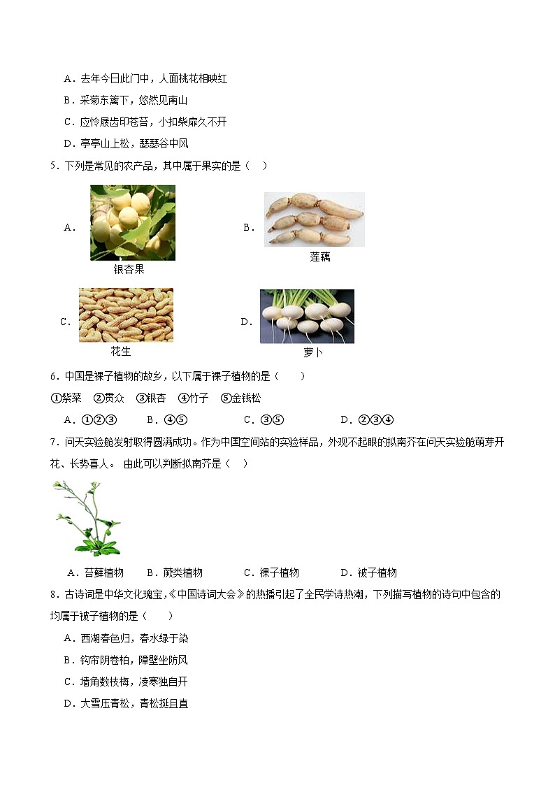 【核心素养】苏教版（2024）生物七年级上册 2.3.2 种子植物（教学课件+同步练习）02