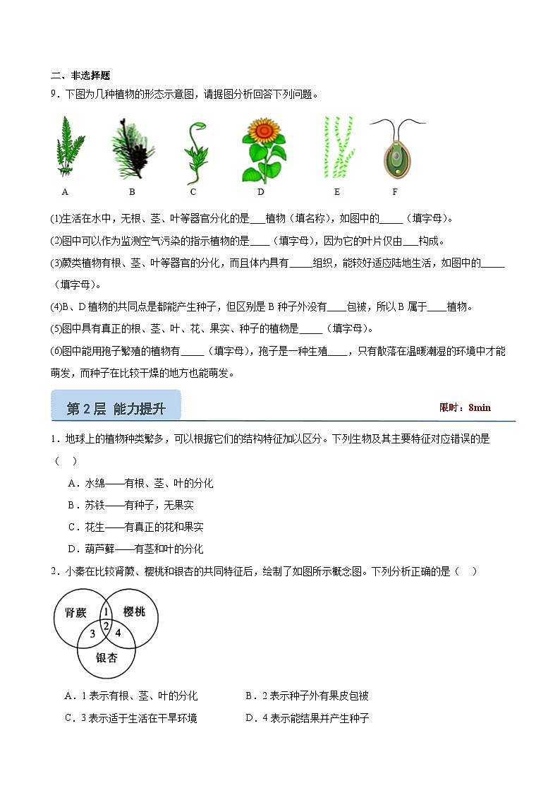 【核心素养】苏教版（2024）生物七年级上册 2.3.2 种子植物（教学课件+同步练习）03