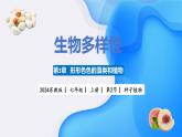 【核心素养】苏教版（2024）生物七年级上册 2.3.2 种子植物（教学课件+同步练习）