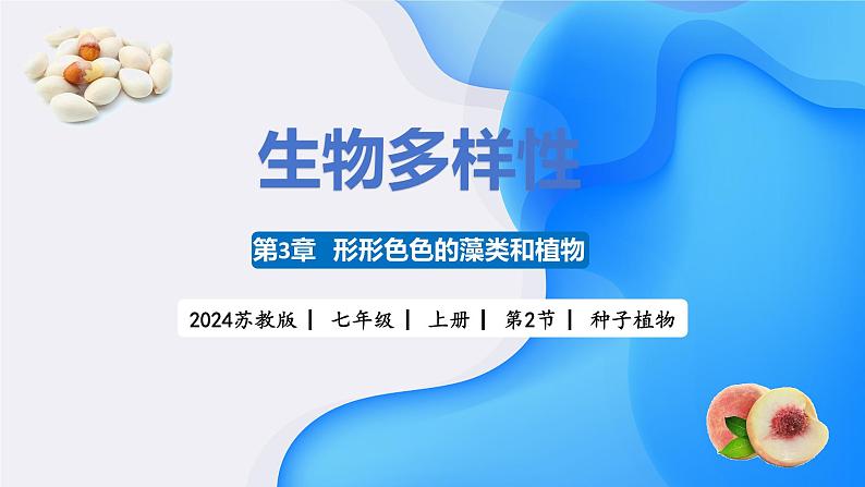 【核心素养】苏教版（2024）生物七年级上册 2.3.2 种子植物（教学课件+同步练习）01