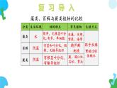 【核心素养】苏教版（2024）生物七年级上册 2.3.2 种子植物（教学课件+同步练习）