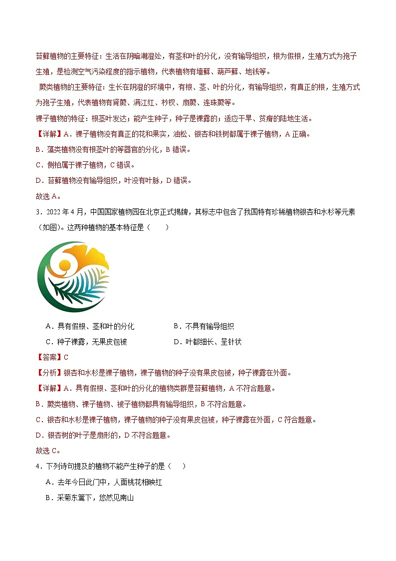 【核心素养】苏教版（2024）生物七年级上册 2.3.2 种子植物（教学课件+同步练习）02