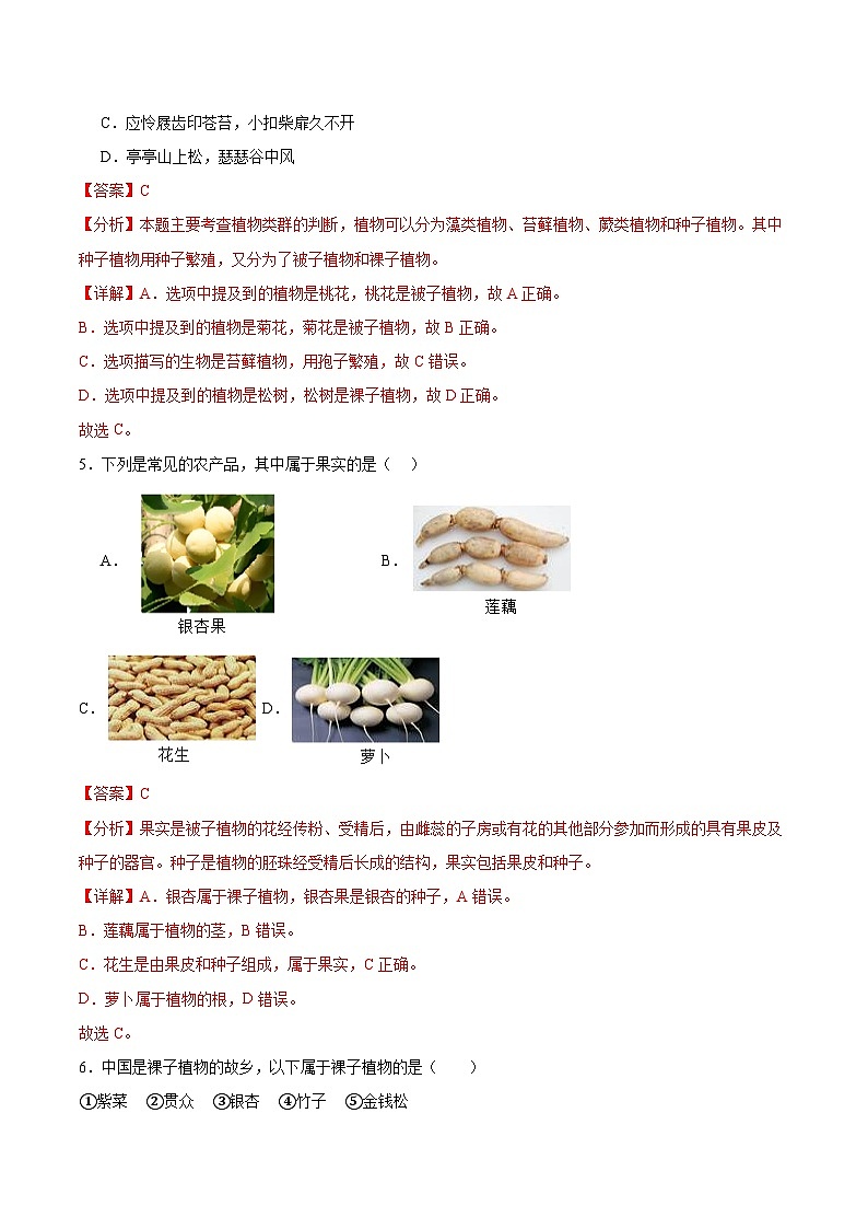 【核心素养】苏教版（2024）生物七年级上册 2.3.2 种子植物（教学课件+同步练习）03