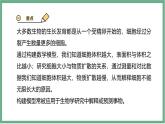 【北师大版】七上生物  2.3.1细胞通过分裂而增殖  课件