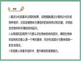 【北师大版】七上生物  2.3.2细胞分化形成组织  课件