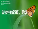 【北师大版】七上生物  2.3.3生物体的器官、系统  课件