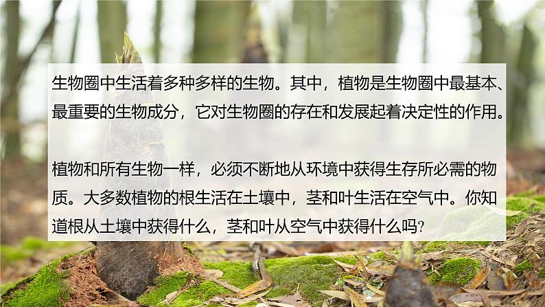 【北师大版】七上生物  3.4.1光合作用  课件02