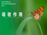 【北师大版】七上生物  3.4.3吸收作用  课件