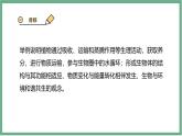 【北师大版】七上生物  3.4.3吸收作用  课件