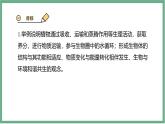 【北师大版】七上生物  3.4.5蒸腾作用  课件