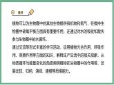 【北师大版】七上生物  3.4.6植物在生物圈中的作用  课件