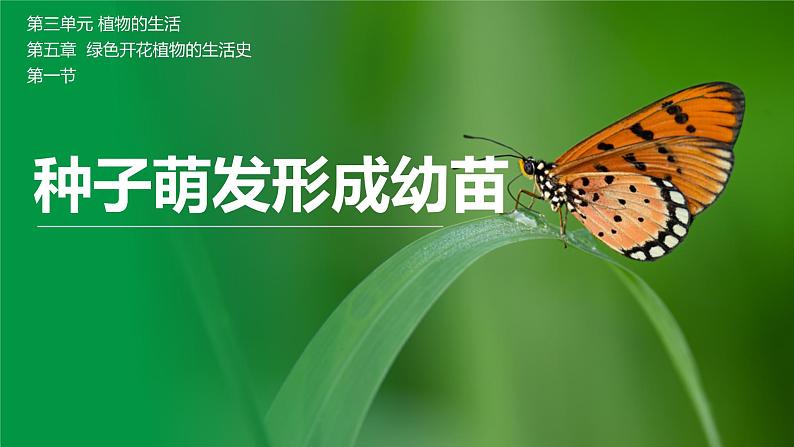 【北师大版】七上生物  3.5.1种子萌发形成幼苗  课件01