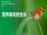 【北师大版】七上生物  3.5.2营养器官的生长  课件