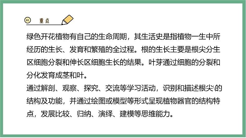 【北师大版】七上生物  3.5.2营养器官的生长  课件03