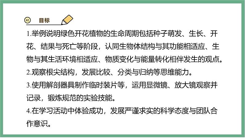 【北师大版】七上生物  3.5.2营养器官的生长  课件05