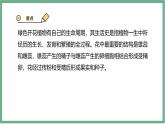 【北师大版】七上生物  3.5.3生殖器官的生长  课件