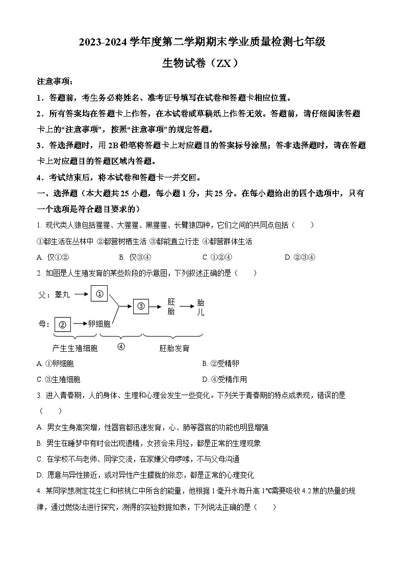 河北省石家庄市赵县2023-2024学年七年级下学期期末生物学试题01