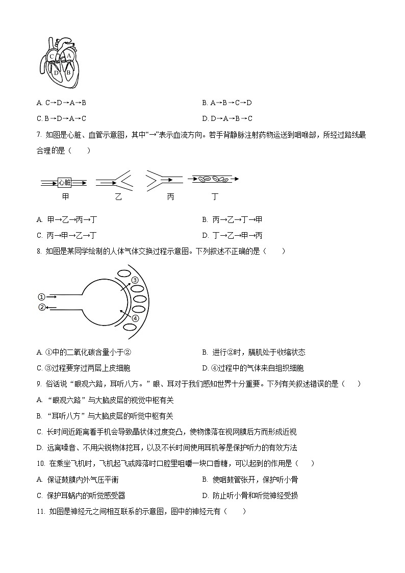 山西省临汾市翼城县2023-2024学年七年级下学期期末生物学试题（原卷版+解析版）02