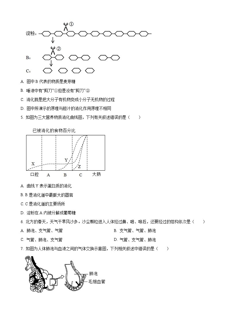 山东省德州市齐河县2023-2024学年七年级下学期期末生物学试题（原卷版+解析版）02