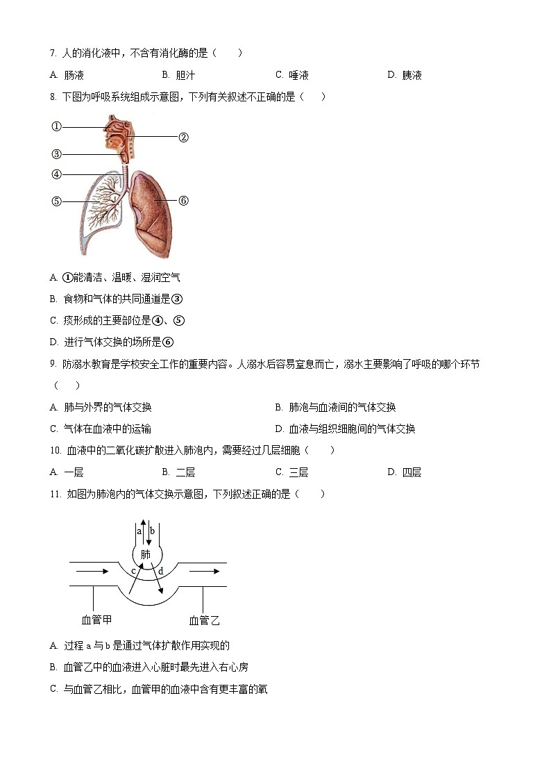 湖南省邵阳市新宁县2023-2024学年七年级下学期期末生物学试题（原卷版+解析版）02