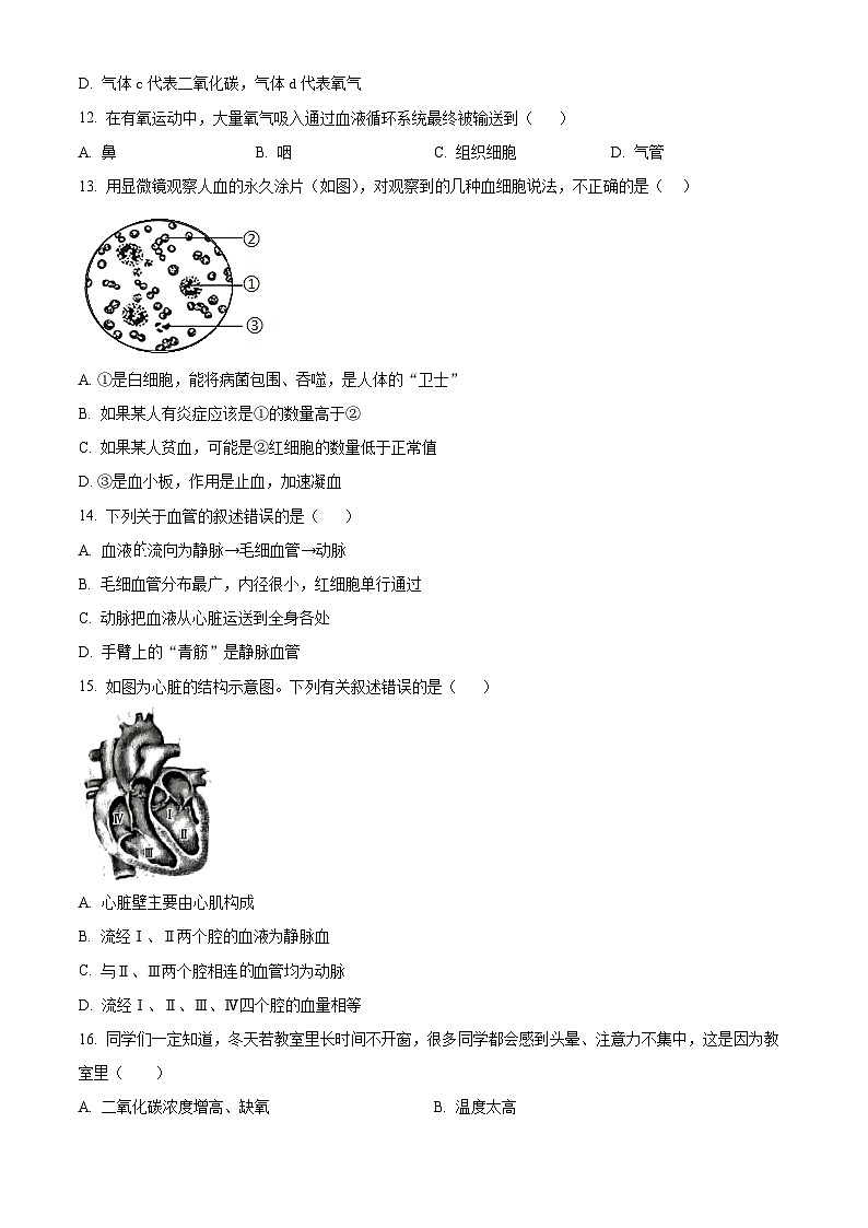 湖南省邵阳市新宁县2023-2024学年七年级下学期期末生物学试题（原卷版+解析版）03