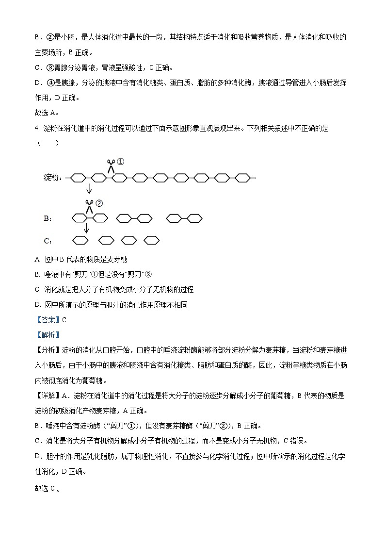 山东省德州市齐河县2023-2024学年七年级下学期期末生物学试题（解析版）03