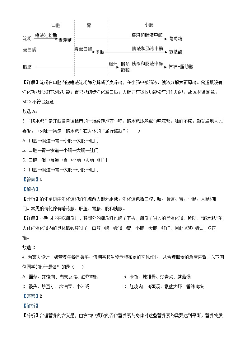 广东省惠州市惠东县2023-2024学年七年级下学期期末生物学试题（解析版）02