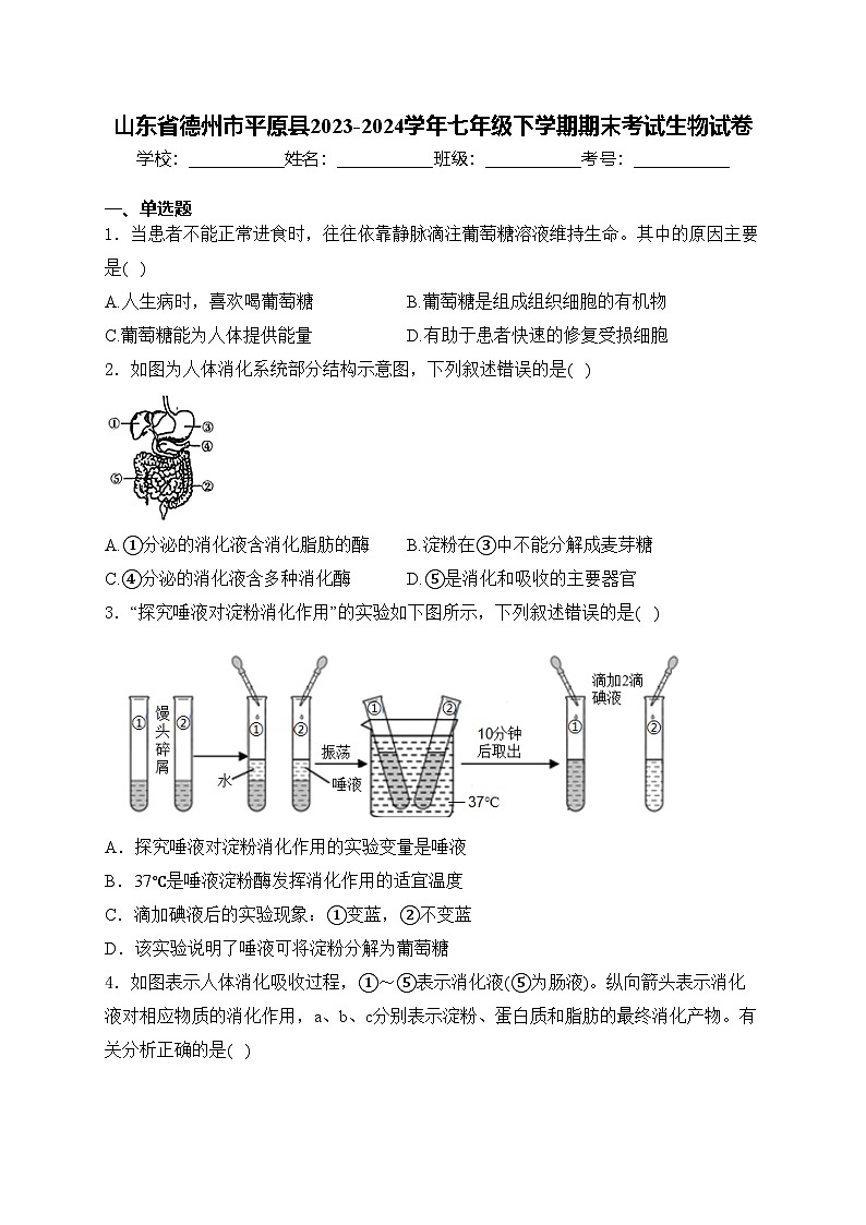山东省德州市平原县2023-2024学年七年级下学期期末考试生物试卷(含答案)第1页