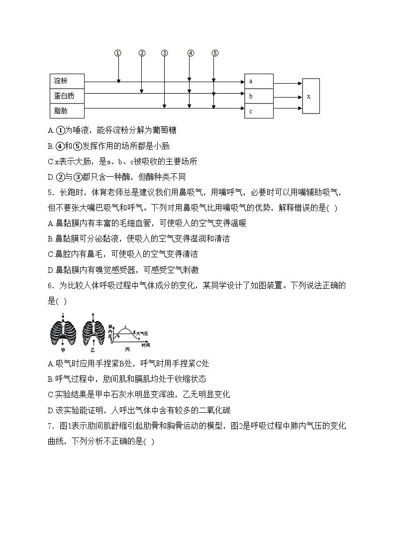 山东省德州市平原县2023-2024学年七年级下学期期末考试生物试卷(含答案)第2页
