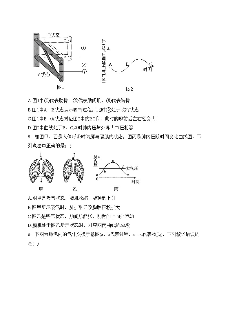 山东省德州市平原县2023-2024学年七年级下学期期末考试生物试卷(含答案)第3页
