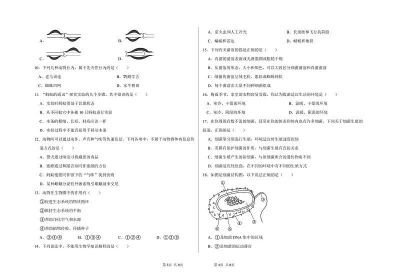 四川省宜宾市+龙文学校2023-2024学年八年级上学期期中检测生物试卷02