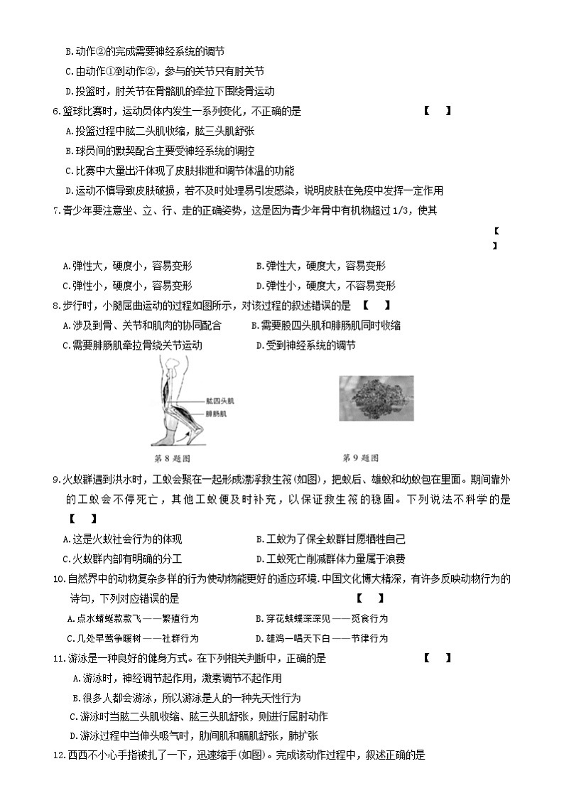 河南省安阳市内黄县实验中学2023-2024学年八年级上学期第一次月考生物试题02