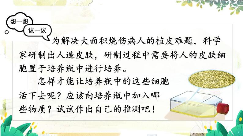 人教2024版生物七年级上册 第一单元 第2章 第四节 细胞的生活 PPT课件+教案04