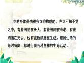 人教2024版生物七年级上册 第一单元 第2章 第四节 细胞的生活 PPT课件+教案