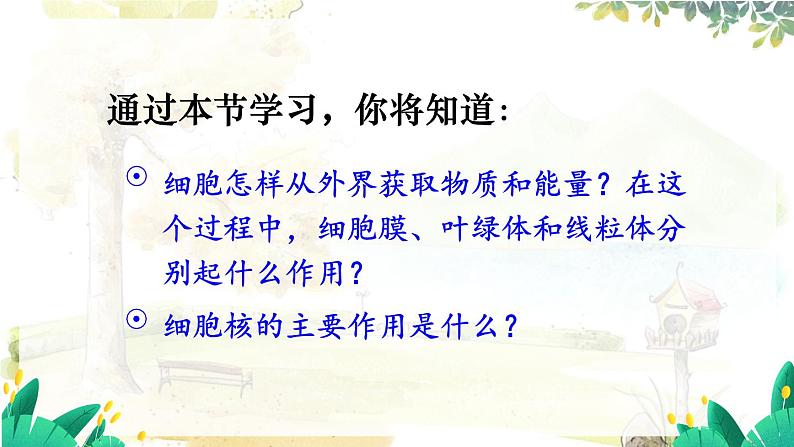 人教2024版生物七年级上册 第一单元 第2章 第四节 细胞的生活 PPT课件+教案06