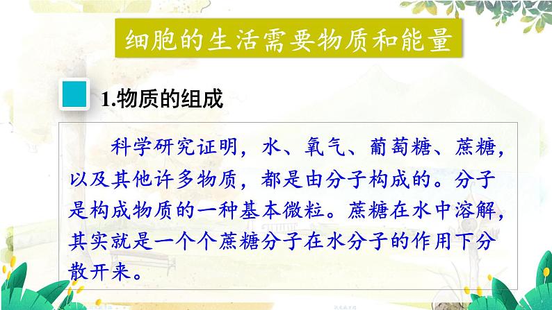 人教2024版生物七年级上册 第一单元 第2章 第四节 细胞的生活 PPT课件+教案07